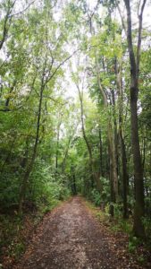 Little Mammut Wien 55km