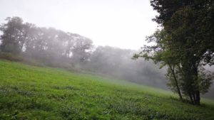 Little Mammut Wien 55km