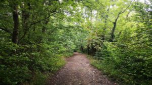 Little Mammut Wien 55km