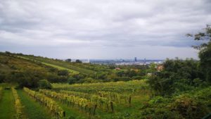 Little Mammut Wien 55km