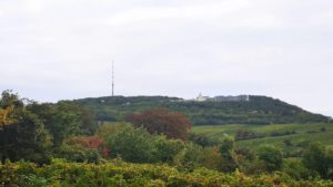 Little Mammut Wien 55km