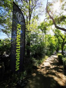 Mammutmarsch Wien 2020