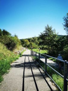 Mammutmarsch Wien 2020