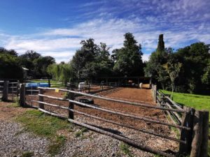 Mammutmarsch Wien 2020