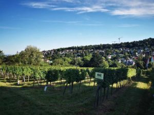 Mammutmarsch Wien 2020