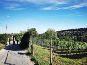 Mammutmarsch Wien 2020