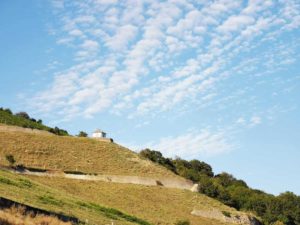 Mammutmarsch Wien 2020