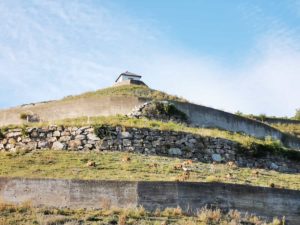 Mammutmarsch Wien 2020