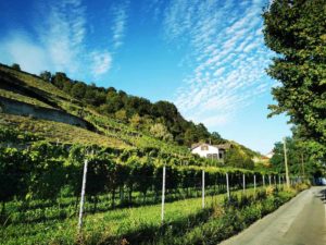 Mammutmarsch Wien 2020