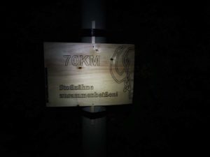 Mammutmarsch Wien 2020