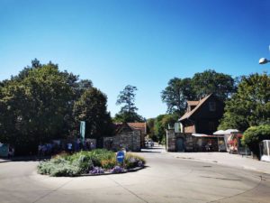 Mammutmarsch Wien 2020