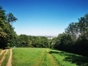 Mammutmarsch Wien 2020