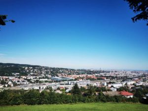 Mammutmarsch Wien 2020