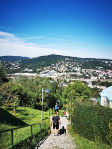 Mammutmarsch Wien 2020